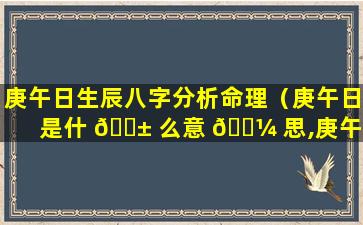 庚午日生辰八字分析命理（庚午日是什 🐱 么意 🌼 思,庚午日生人性格）